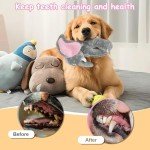Letsmeet Plush Large Dog Toys with Squeaker and Crinkle Paper, Interactive Puppy Chew and Teeth Cleaning Toy, Pet Toys for Small, Medium and Large Dogs