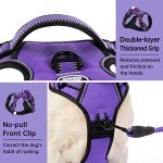 IVY&LANE No Pull Dog Harness for Medium Dogs, Dog Vest Harness with Leash, Safety Belt and Storage Strap, Fully Adjustable Harness, 360° Reflective Strip, Soft Handle (Purple, M)