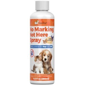 Qucship Not Here Dog Spray - Safe and Effective Dog Training Aid - Stop Inappropriate Peeing Indoors -Easy to use-8oz