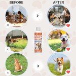Qucship Not Here Dog Spray - Safe and Effective Dog Training Aid - Stop Inappropriate Peeing Indoors -Easy to use-8oz