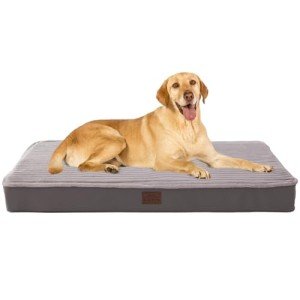 Orthopedic Dog Beds for XL, Large, Medium, Small Dogs - Soft Plush Washable with Egg Crate Foam, Waterproof with Removable Cover & Anti-Slip Bottom, Comfy Striped Dog Bed for Crate, 40x28 Inch, Gray