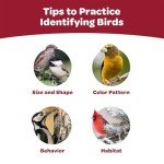 Kaytee Wild Bird Finch Food Blend, 3 lb