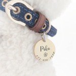 Cats Dogs ID Tags Personalized Lovely Symbols Pets Collar Name Accessories Simple Custom Engraved Supplies for Small Four Legged Child Necklace Chain Anti-Lost Shiny Stainless Steel 316L Charm