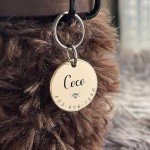 Cats Dogs ID Tags Personalized Lovely Symbols Pets Collar Name Accessories Simple Custom Engraved Supplies for Small Four Legged Child Necklace Chain Anti-Lost Shiny Stainless Steel 316L Charm