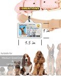 Custom Pet Driver License ID Tags, Custom Pets ID Tags, Personalized Driver¡¯s License Tags for Pet, Pet ID Tags Personalized, Cat License id Tags Personalized, Dog Funny License ID Tags Personalized