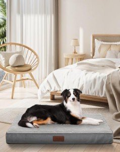 OhGeni 35 Inch Orthopedic Waterproof & Machine Washable Dog Bed for Medium Large Pets, 20D Egg Crate Foam Stable Support, Non-Slip Bottom and Removable Cover, Tear-Resistant Invisible Zipper(Gray)