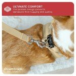Downtown Pet Supply Step in Dog Harness for Small Dogs No Pull, Small, Khaki - Adjustable Harness with Padded Mesh Fabric and Reflective Trim - Buckle Strap Harness for Dogs