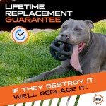 Monster K9 Indestructible Ring Ball - Lifetime Replacement - Medium & Large Breeds - Ultra Durable Dog Toy for Aggressive Chewers - Chew, Tug, & Fetch - 5.5"