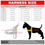 Plutus Pet No Pull Dog Harness with Breathable Mesh Padded, Adjustable Reflective Escape Proof Dog Harness, Quick Fit Dog Vest Harness for Small Medium Large Dogs(M, Beige)