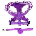 SuperBuddy Upgraded Soft Mesh Dog Harness, Super Breathable Lightweight Pet Harnesses for Puppy Dogs Outdoor Walking, Purple Dog Harness and Dog Leash Set Packing -Medium