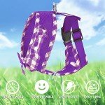SuperBuddy Upgraded Soft Mesh Dog Harness, Super Breathable Lightweight Pet Harnesses for Puppy Dogs Outdoor Walking, Purple Dog Harness and Dog Leash Set Packing -Medium
