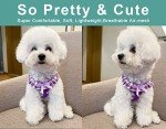SuperBuddy Upgraded Soft Mesh Dog Harness, Super Breathable Lightweight Pet Harnesses for Puppy Dogs Outdoor Walking, Purple Dog Harness and Dog Leash Set Packing -Medium