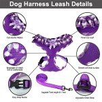 SuperBuddy Upgraded Soft Mesh Dog Harness, Super Breathable Lightweight Pet Harnesses for Puppy Dogs Outdoor Walking, Purple Dog Harness and Dog Leash Set Packing -Medium
