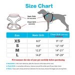 SuperBuddy Upgraded Soft Mesh Dog Harness, Super Breathable Lightweight Pet Harnesses for Puppy Dogs Outdoor Walking, Purple Dog Harness and Dog Leash Set Packing -Medium