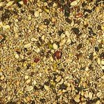 Kaytee Wild Bird Waste Free Nut and Fruit Food Seed Blend for Woodpeckers, Juncos, Cardinals, Grosbeaks, Finches, and Chickadees, 5.5 Pound (Pack of 2)