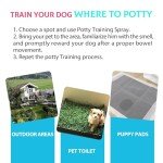 Petstoral Dog Not Here & Here Potty Training Spray Kit, Puppy Essentials. Pee Here Corrector Spray, Prevent Your Pet from Soiling The Carpet. Citrus and Mint, 1.69 fl oz Eachal