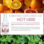 Petstoral Dog Not Here & Here Potty Training Spray Kit, Puppy Essentials. Pee Here Corrector Spray, Prevent Your Pet from Soiling The Carpet. Citrus and Mint, 1.69 fl oz Eachal