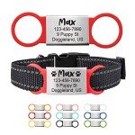 Custom Slide On Pet Tag ID, Fancy Silent Dogs & Cats Personalized No Jingle Engraved Identification Name & Phone Charm for Collar & Harnesses, No Noise for Puppies, Kitties, Horses & Animals