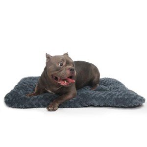 Dog Bed for Crate Washable fit Large Sized Dogs with Anti-Slip Bottom,Extra Soft 36 inch Dog Crate Pad for Dog Cages or Kennel Dog Sleeping Mat Helps Ease Pet Anxiety,Dark Grey