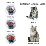 Nihow Elevated Cat/Dog Bowls: 5 Inch Ceramic Raised Cat Food & Water Bowl Set for Protecting Pet's Spine - Feeding & Watering Supplies for Pets - Elegant Gray (4.5 OZ /1 PC)