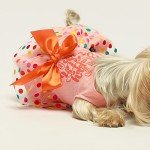 Fitwarm Happy Easter Day Dog Dress 100% Cotton Girl Dog Clothes Easter Bunny Dogs Dresses Pet Apparel Doggie Tutu with Bowknot Cat Clothing Puppy Dresses Doggy Costume Attire Orange X-Small