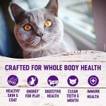 Wellness Complete Health Adult Dry Cat Food for Indoor Cats, Grain Free, Natural, Healthy Weight Chicken & Turkey Meal (5.5 Pound Bag)