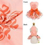 Fitwarm Happy Easter Day Dog Dress 100% Cotton Girl Dog Clothes Easter Bunny Dogs Dresses Pet Apparel Doggie Tutu with Bowknot Cat Clothing Puppy Dresses Doggy Costume Attire Orange X-Small