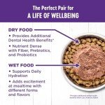 Wellness Complete Health Adult Dry Cat Food for Indoor Cats, Grain Free, Natural, Healthy Weight Chicken & Turkey Meal (5.5 Pound Bag)