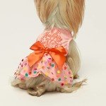 Fitwarm Happy Easter Day Dog Dress 100% Cotton Girl Dog Clothes Easter Bunny Dogs Dresses Pet Apparel Doggie Tutu with Bowknot Cat Clothing Puppy Dresses Doggy Costume Attire Orange X-Small