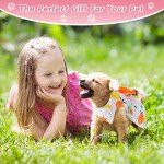 5 Pieces Dog Clothes Girl Dog Dresses Floral Puppy Dresses Pet Cat Princess Bowknot Clothes Cute Puppy Summer Outfits for Yorkie Female Cat Pets, 5 Styles(Cute Style,X-Small)