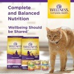 Wellness Complete Health Adult Dry Cat Food for Indoor Cats, Grain Free, Natural, Healthy Weight Chicken & Turkey Meal (5.5 Pound Bag)