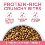 Purina ONE High Protein, Natural Dry Kitten Food, +Plus Healthy Kitten Formula - 7 lb. Bag