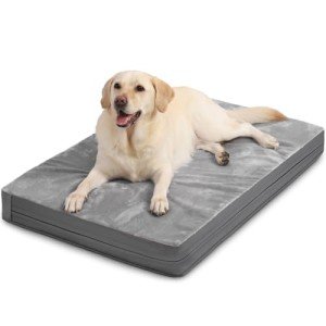 Waterproof XXL Dog Beds Large Sized Dog, Orthopedic Washable Crate Pad 48 inch, Jumbo XXLarge Foam Pet Bed with Removable Cover Reversible, Anti-Slip Kennel Pad, 47"x29", Gray