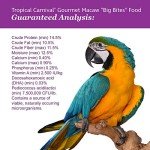 F.M. Brown's Tropical Carnival, Gourmet Macaw Food Big Bites for Big Beaks, Vitamin-Nutrient Fortified Daily Diet with Probiotics for Digestive Health, 5 lb