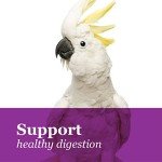 F.M. Brown's Tropical Carnival, Gourmet Macaw Food Big Bites for Big Beaks, Vitamin-Nutrient Fortified Daily Diet with Probiotics for Digestive Health, 5 lb