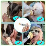 Kitten Feeding Nipples and Nursing Syringe, 18PCS Reusable Newborn Pet Supplies, Including 4PCS O-Ring Syringe (1 3 5cc), 10PCS Kittens Nipple for Small Breed Puppies/Kittens/Squirrels.