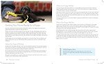 Puppies (Idiot's Guides)