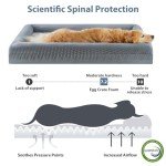 WNPETHOME Orthopedic Dog Beds for Large Dogs, Extra Large Waterproof Dog Couch with Removable Washable Cover & Anti-Slip Bottom, XL Dog Crate Bed with Sides