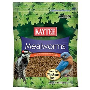 Kaytee Wild Bird Food Mealworms For Bluebirds, Wrens, Robins, Chickadees, Woodpeckers, Cardinals & Chickens, 17.6 Ounce