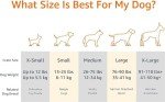 Amazon Basics Cat and Dog Bed and Crate Pad, Machine Washable, Indoor, 23 x 18 x 2.5 inches, Gray
