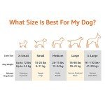 Amazon Basics Cat and Dog Bed and Crate Pad, Machine Washable, Indoor, 23 x 18 x 2.5 inches, Gray