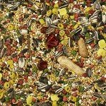 Kaytee Forti-Diet Pro Health Egg-Cite Pet Conure & Lovebird Food, 3 Pound