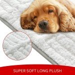 Dog Crate Mat(24" X 18"), Small Dog Bed for Crate, Soft Plush Dog Bed Pad Machine Washable Crate Pad, Dog Sleeping Mat with Anti Slip Bottom