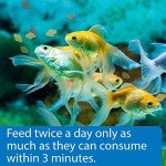 API GOLDFISH FLAKES Fish Food .36-Ounce Container