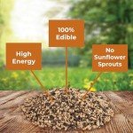 Kaytee Waste Free Finch Blend 8 Pounds
