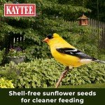 Kaytee Waste Free Finch Blend 8 Pounds