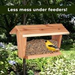 Kaytee Waste Free Finch Blend 8 Pounds