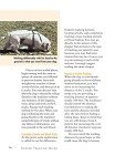 Canine Tracking Guide: Training the All-Purpose Tracker (CompanionHouse Books) Anatomy and Function of a Dog's Nose, Scent and Search Patterns, Competitive Coursing, First Aid, and More (Country Dogs)