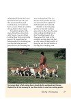 Canine Tracking Guide: Training the All-Purpose Tracker (CompanionHouse Books) Anatomy and Function of a Dog's Nose, Scent and Search Patterns, Competitive Coursing, First Aid, and More (Country Dogs)