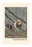 Canine Tracking Guide: Training the All-Purpose Tracker (CompanionHouse Books) Anatomy and Function of a Dog's Nose, Scent and Search Patterns, Competitive Coursing, First Aid, and More (Country Dogs)